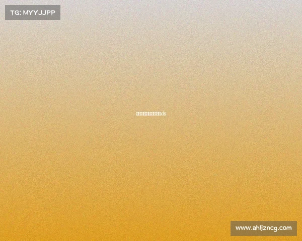 新西兰的赛事新西兰杯ds